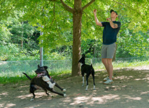 Tips for preventing heat-related illness